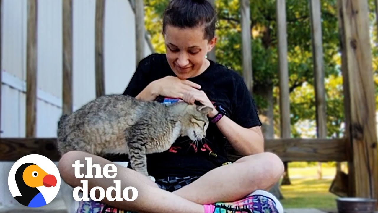 Girl Visits Abandoned Cat Every Day Until He Follows Her Home | The Dodo