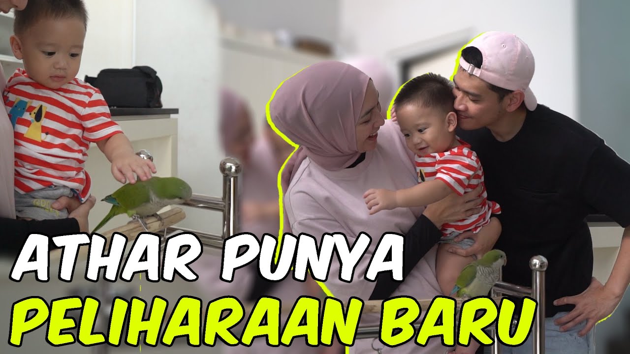 MUTER2 PASAR BURUNG UNTUK ATHAR!! ATHAR SENENG BANGETT!!!