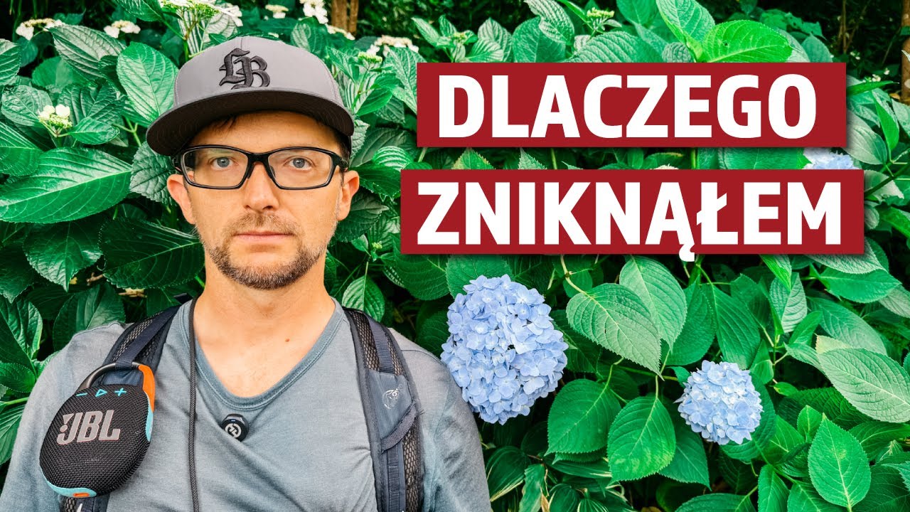 CZYM SIĘ TERAZ ZAJMUJĘ W JAPONII?