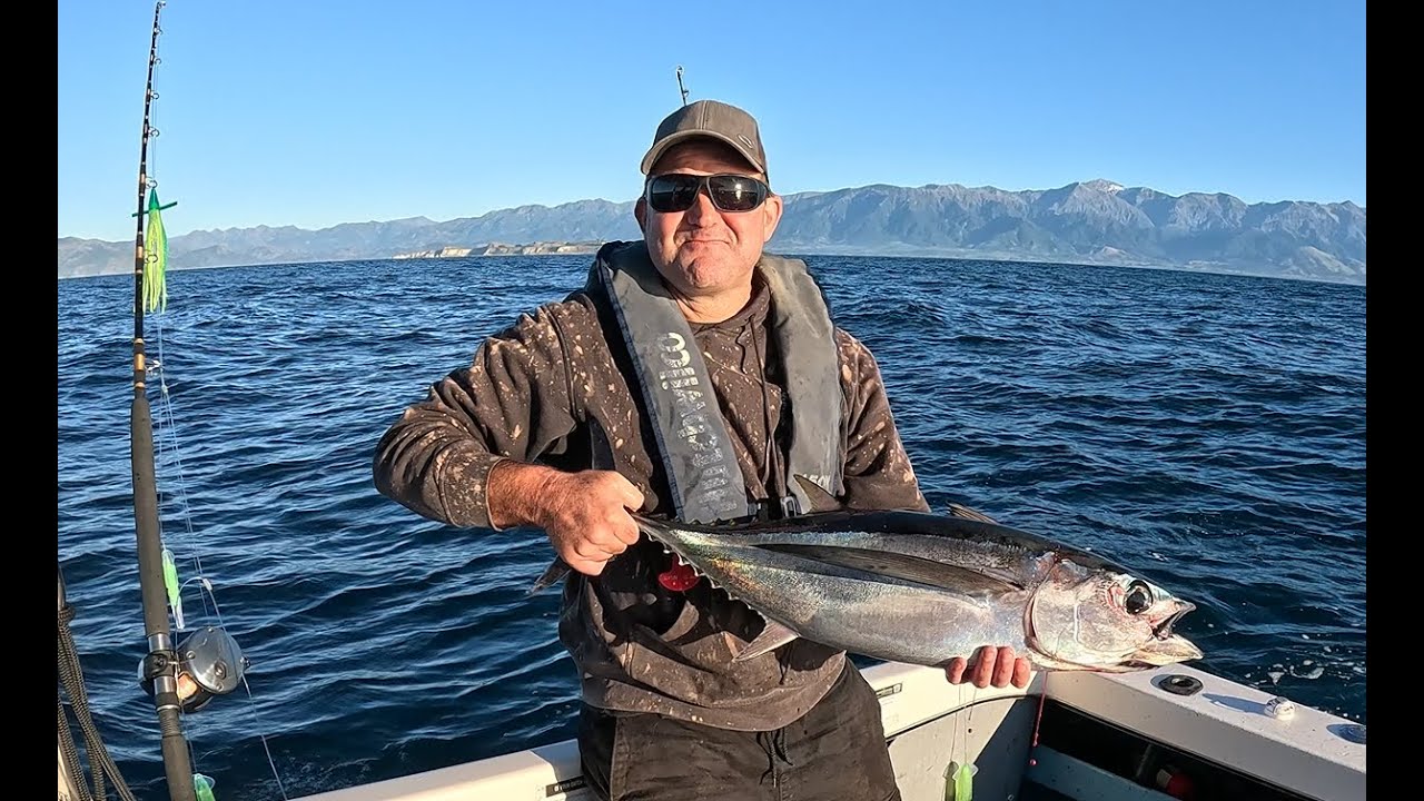 Tuna Trolling Kaikoura, Last Tuna of the season.