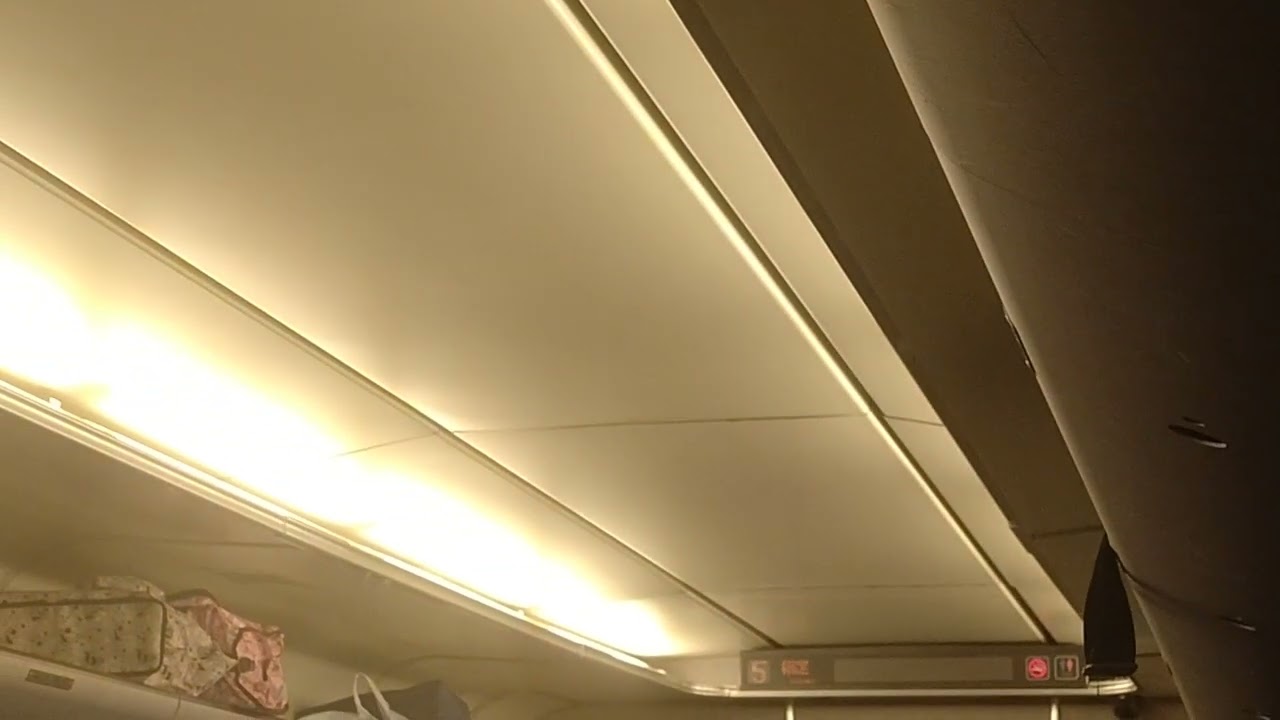 【車内放送】「683系」特急🚈しらさぎ11号敦賀行敦賀駅到着放送‼️