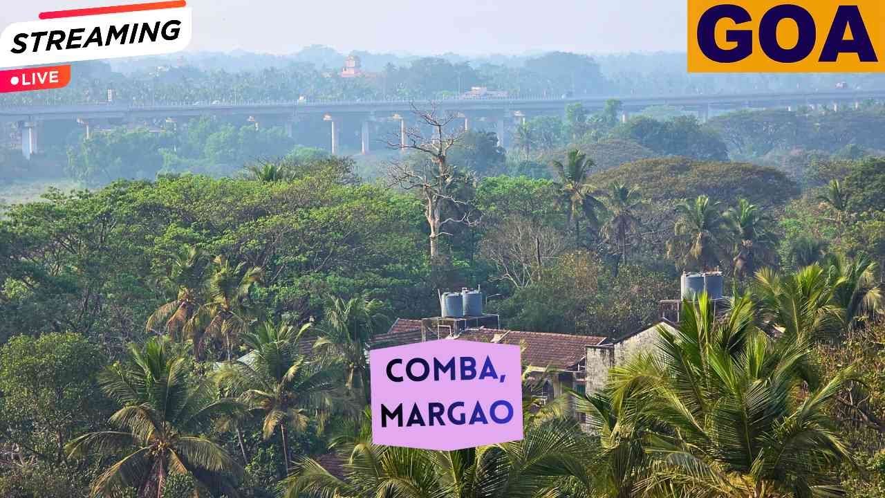 ​🔴 LIVE: Margao, Goa Early Evening Time | Nature Ambience