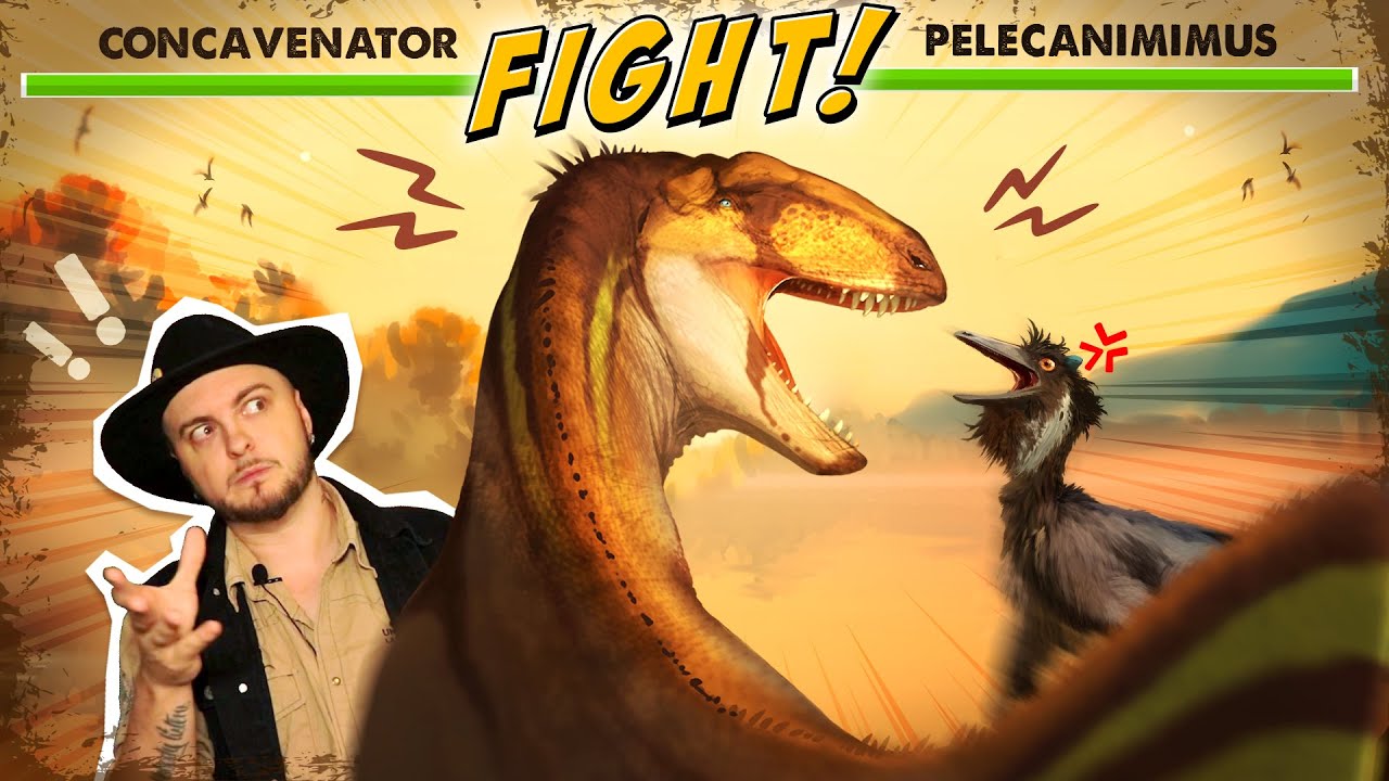 UN DINOSAURE PRÉDATEUR ÉTRANGE ET UNIQUE! - le concavenator