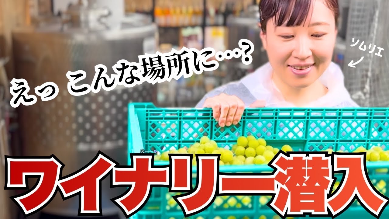 【酒好き女子】都会のど真ん中でブドウを醸す！ワイン造り体験が楽しすぎた【ソムリエ】
