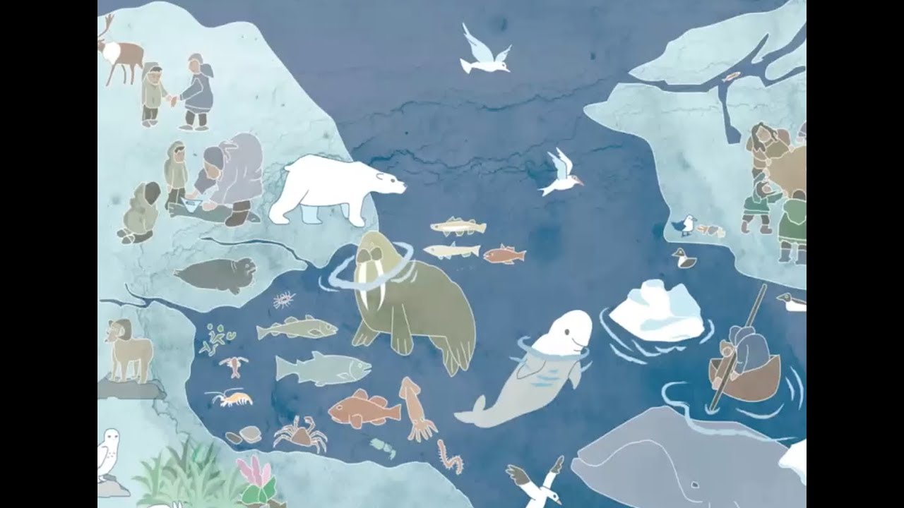 Different Ways of Knowing: Successful Examples of Co-production of Knowledge in Arctic Research