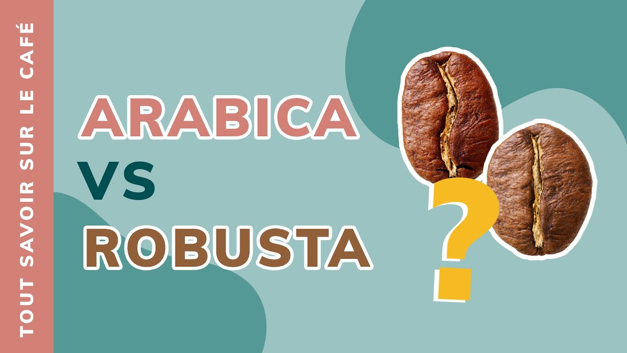 Arabica ou Robusta : quelles différences ?