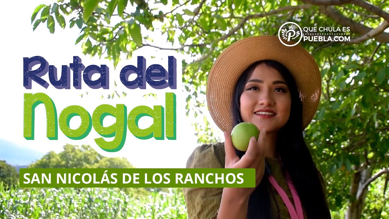 Ruta del Nogal 
