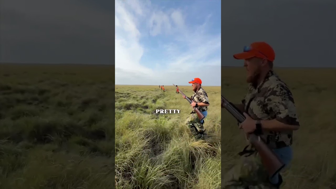 🤦Wild Quail Are Pretty Dumb&hellip;