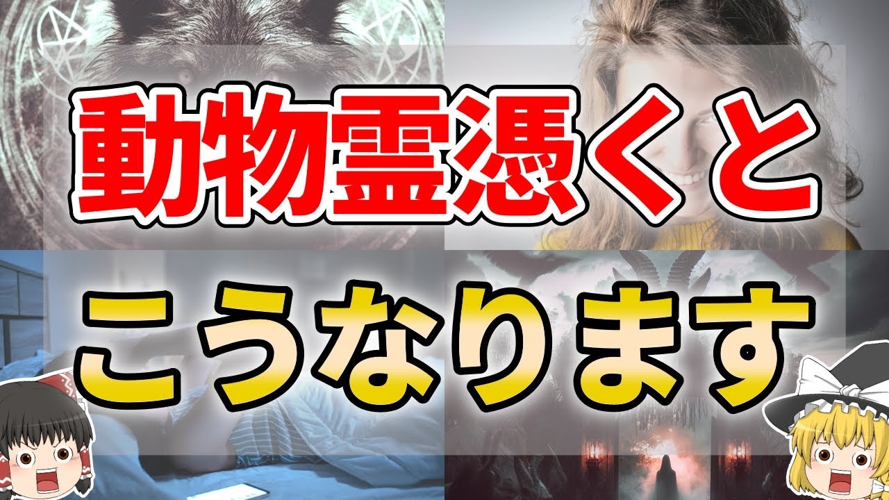 【ゆっくり解説】知らないうちに動物霊に取り憑かれた人の特徴７選