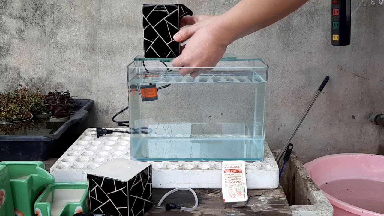 Demo và hướng dẫn lắp đặt hệ thống lọc bể cá kết hợp Thác nước phong thủy 3 tầng
