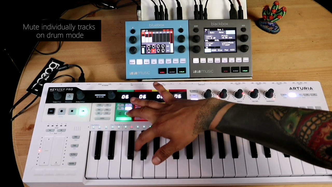 Black box meets Keystep pro | one of the best dawless set up for live performance