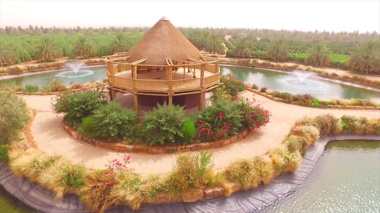 The Nofa Resorts Experience
