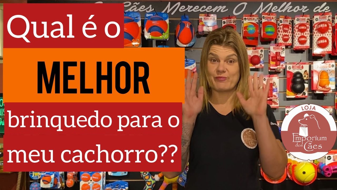 Qual o melhor brinquedo para o meu cachorro??