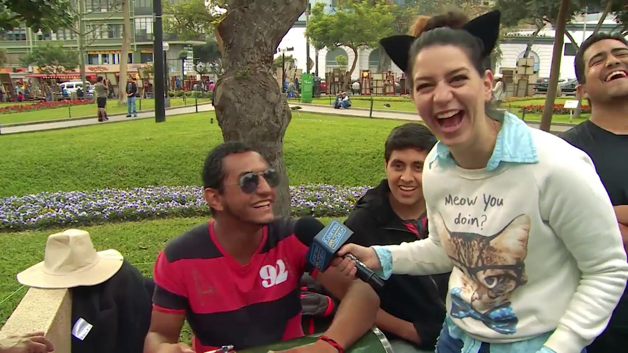 Estamos en la calle - Parque de gatos