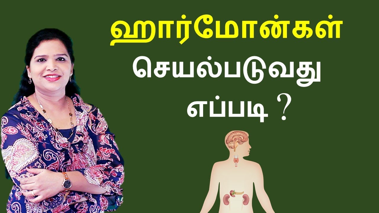 Endocrine System - நாளமில்லா சுரப்பி மண்டலம்