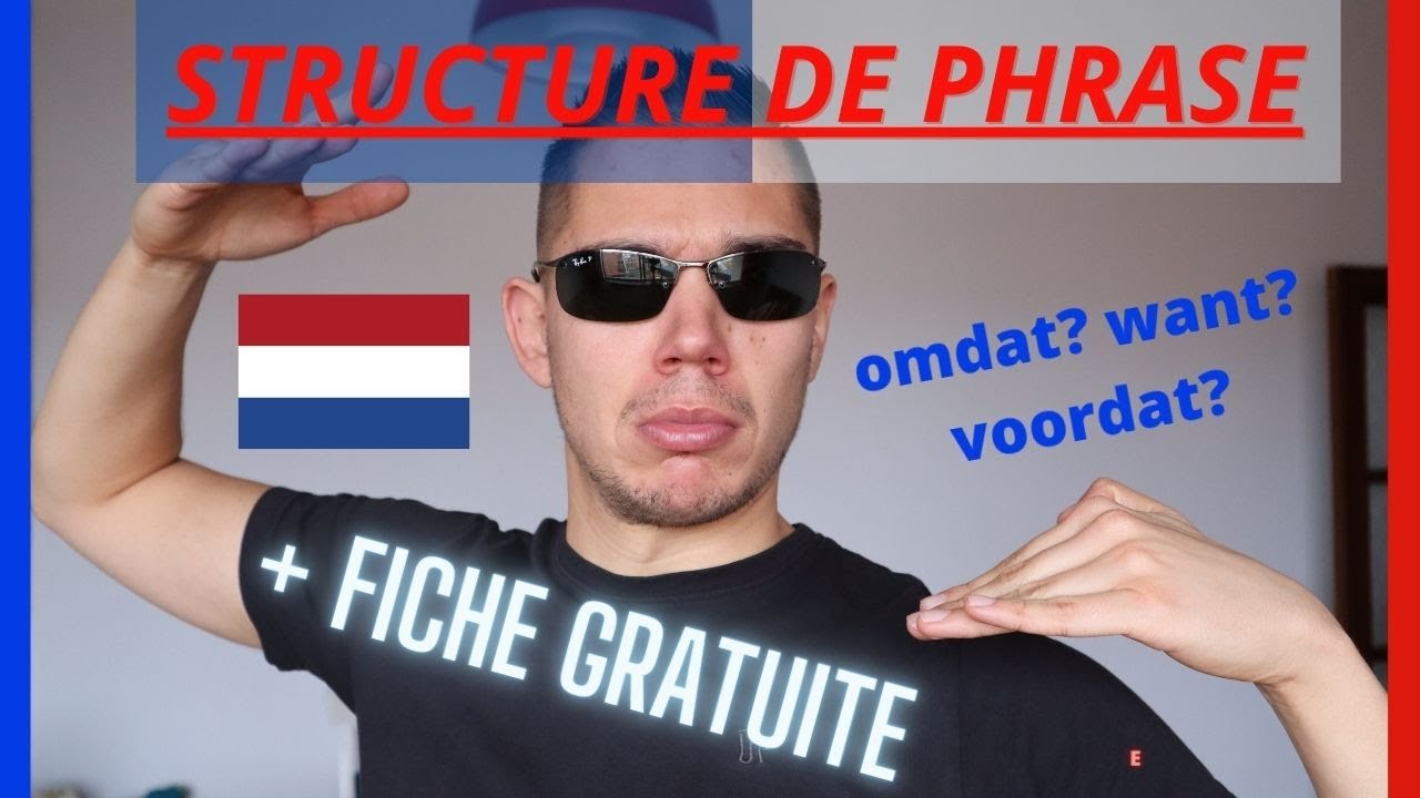 Comprendre la structure de phrase en néerlandais : omdat, want, als, wanneer + fiche gratuite 😎