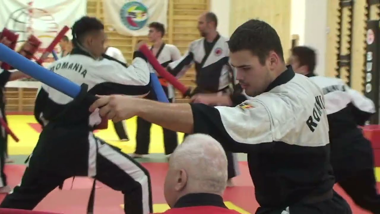 Chanbara Romania