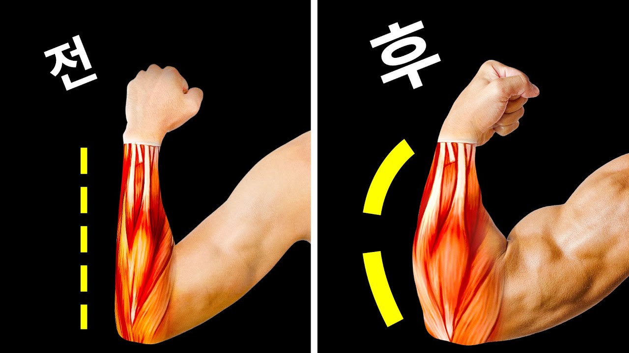 더 강한 전완근을 위해 해야 할 단 14가지 운동