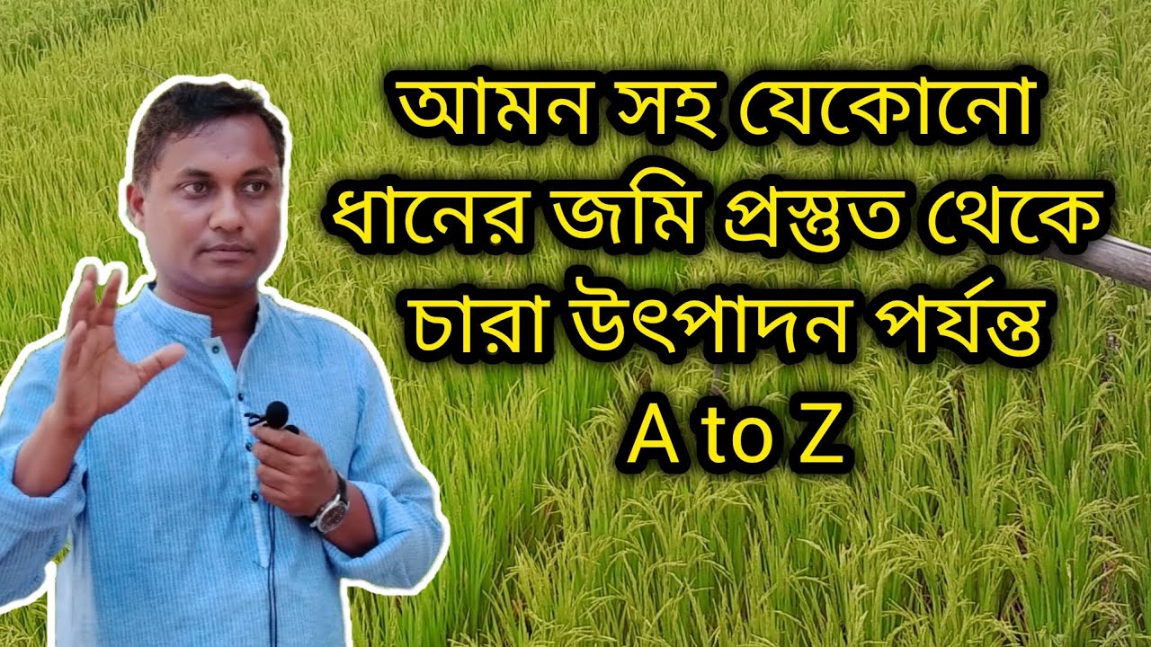 SPK পদ্ধতিতে ধান চাষের বিস্তারিত বর্ণনা || HKBK ||  HK বহুমুখী খামার