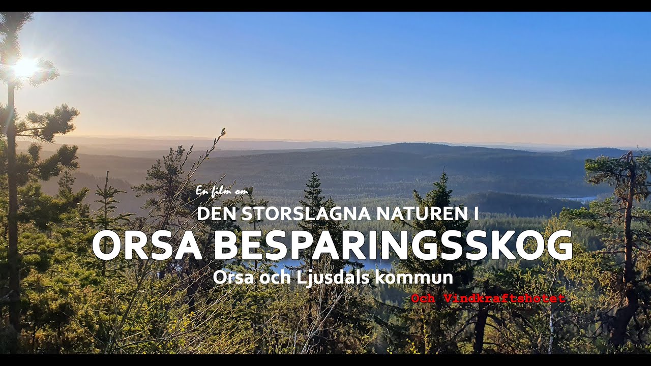 Orsa Finnmark, en storslagen natur hotas av vindkraftindustrier