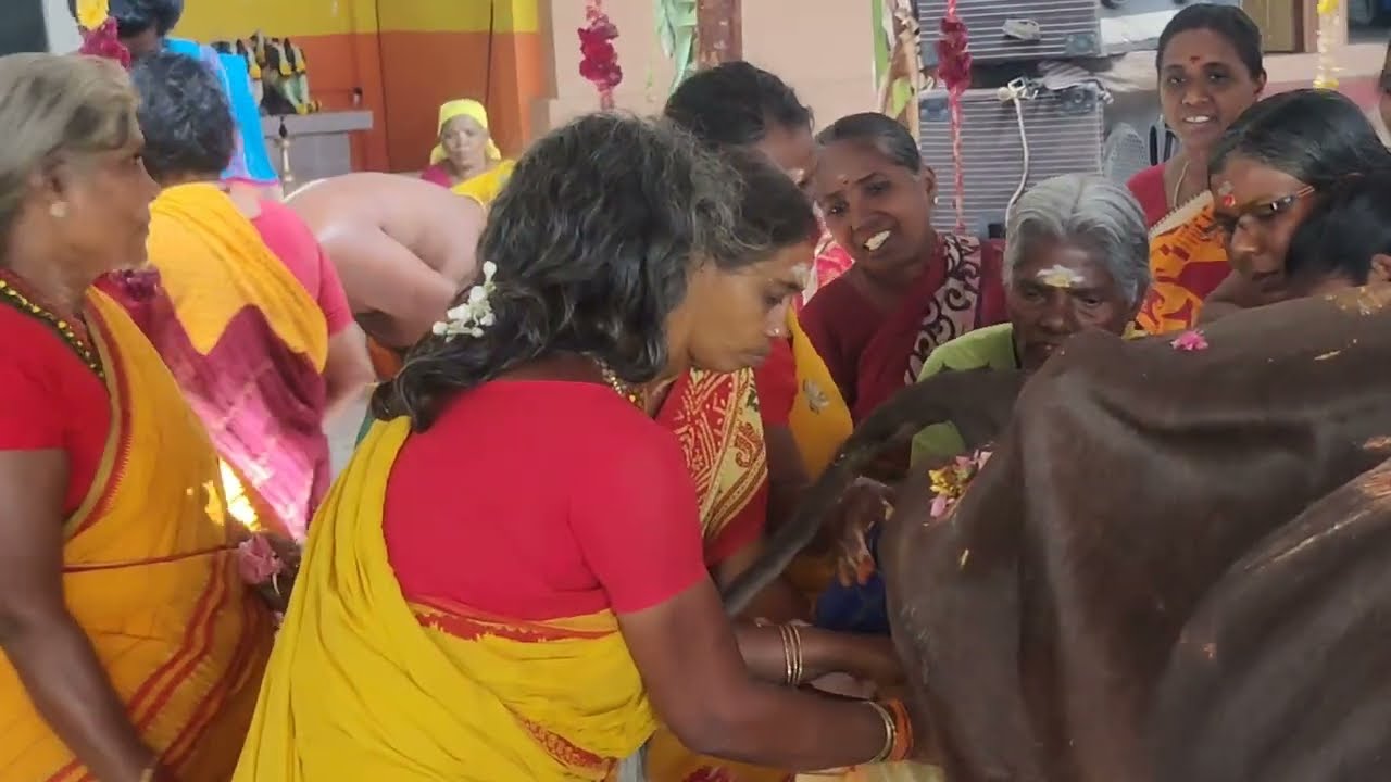 ஆலங்குளம் ஸ்ரீ.முத்தாரம்மன் கோவில் கோமாதா சிறப்பு பூஜை