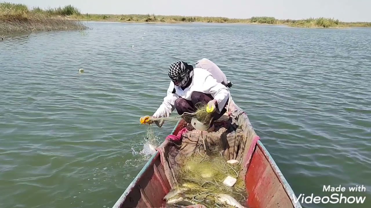 احلا صيد سمك البني واسمتي في هور الدلمج لايح او دكاكه