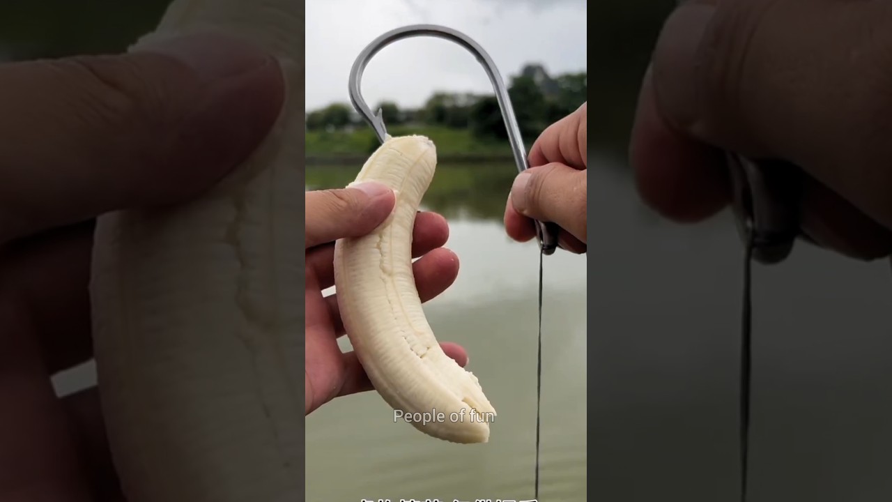 The technique of fishing with banana 🍌🐟..#shorts #facts #amazingfacts