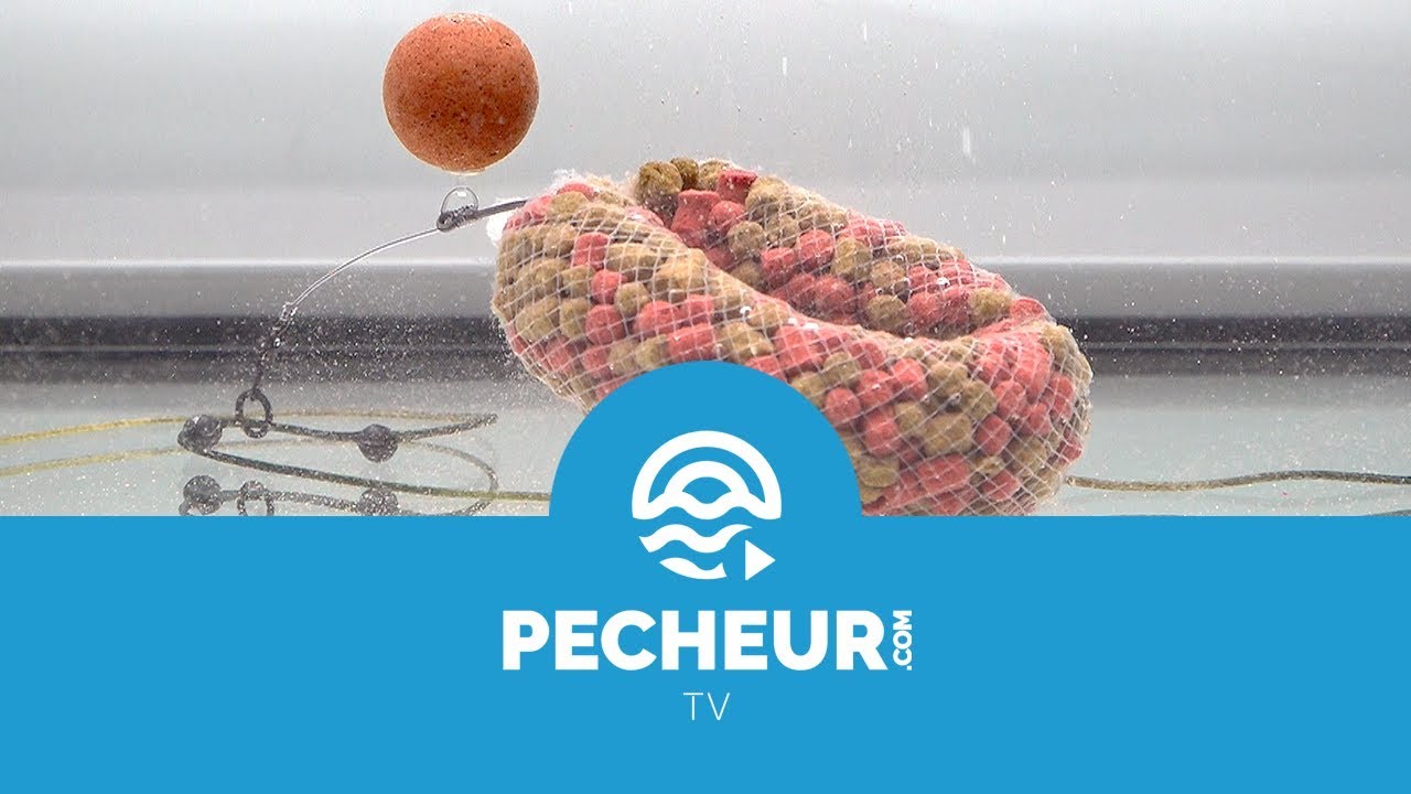 PVA - Lexique Pecheur.com