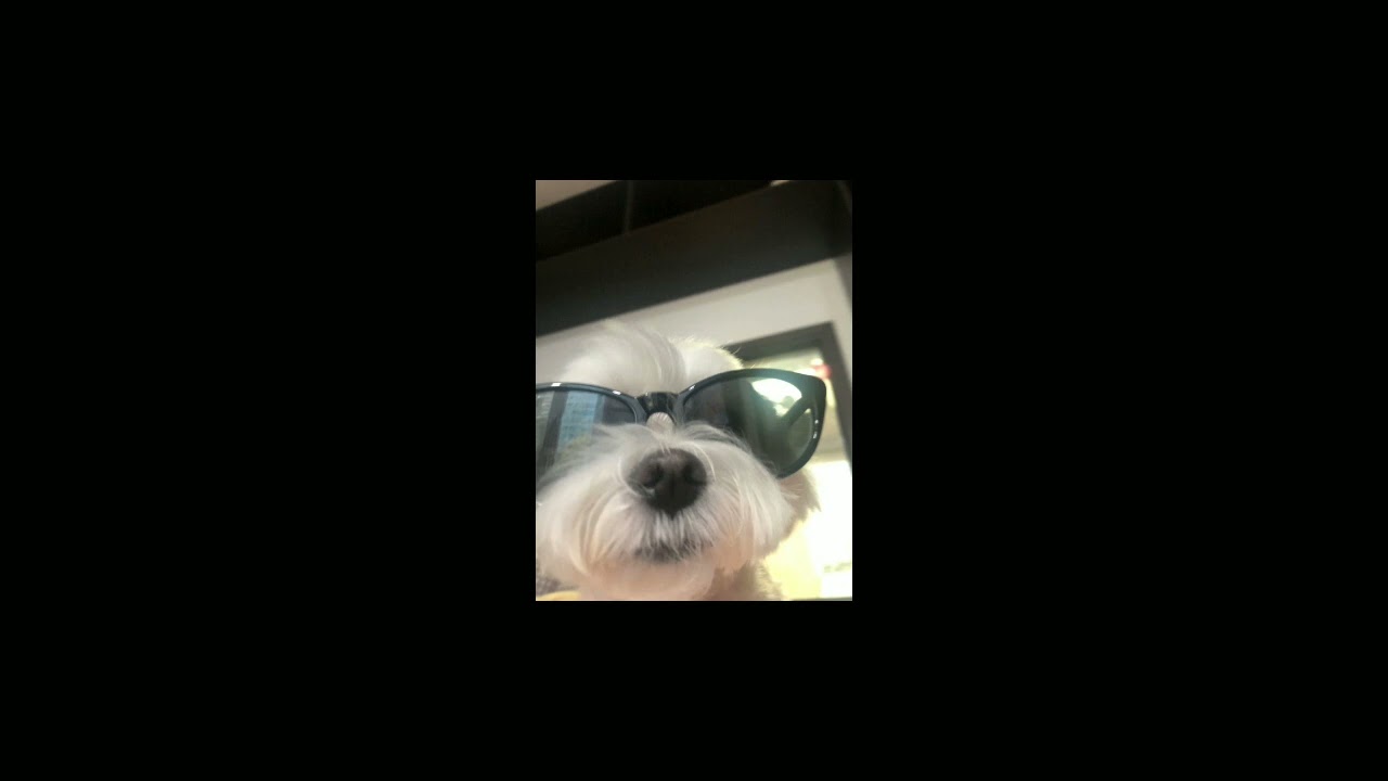 proibidão 2020 (sped up)
