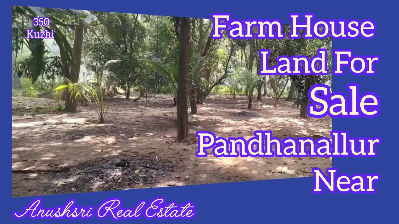 Farm House Land For Sale In Pandhanallur Near // #farmhouseforsale #groveforsale