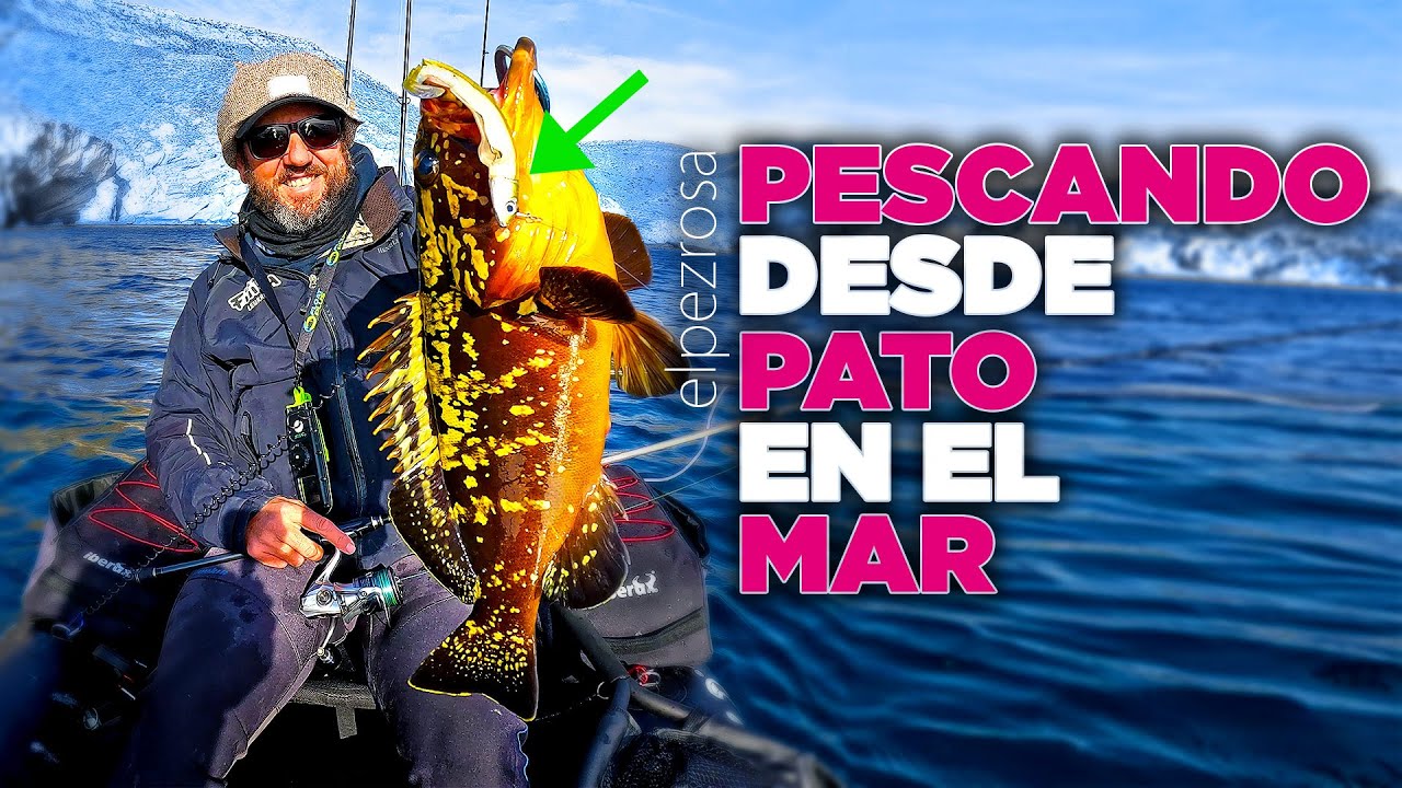 Pescando desde pato en el mar: Cap.1