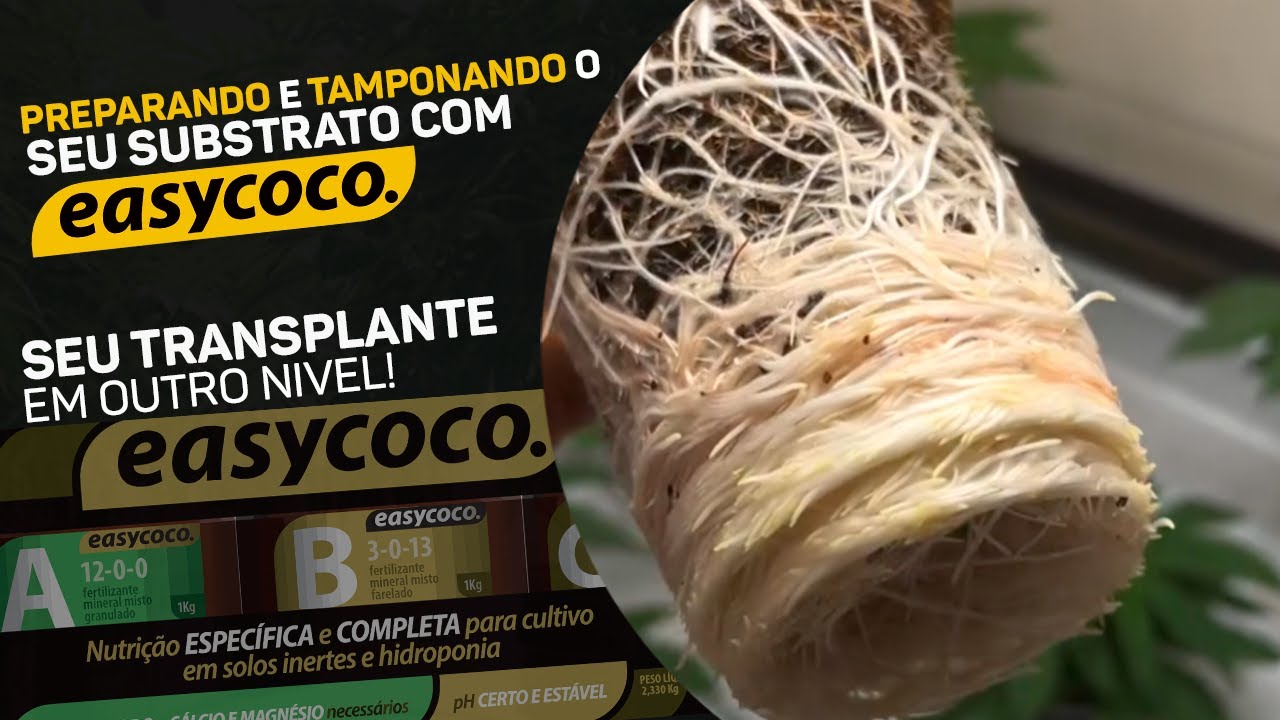 PREPARANDO E TAMPONANDO SEU COCO COM EASYCOCO!