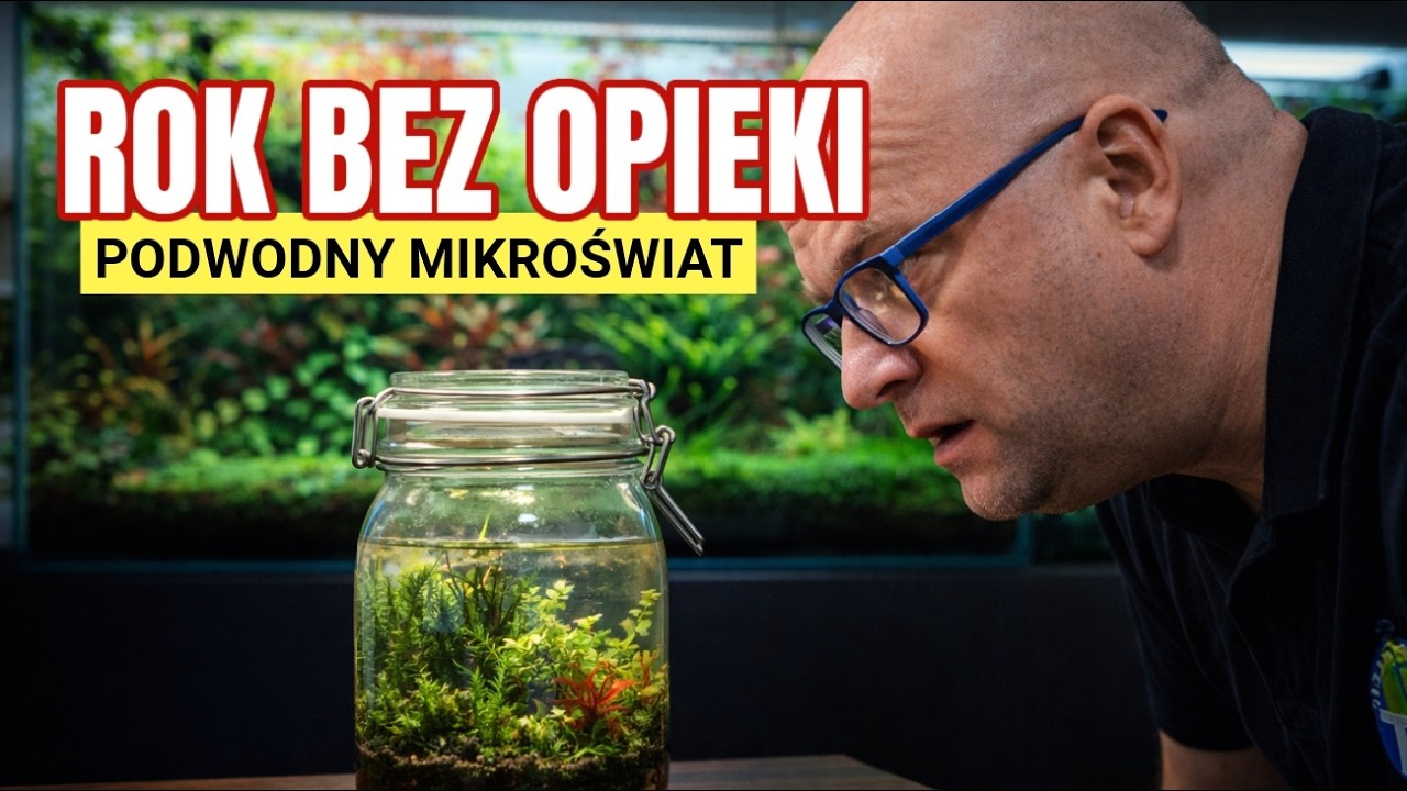 ŻYCIE W MIKROSKALI &ndash; Rok biologicznego eksperymentu bez Filtra