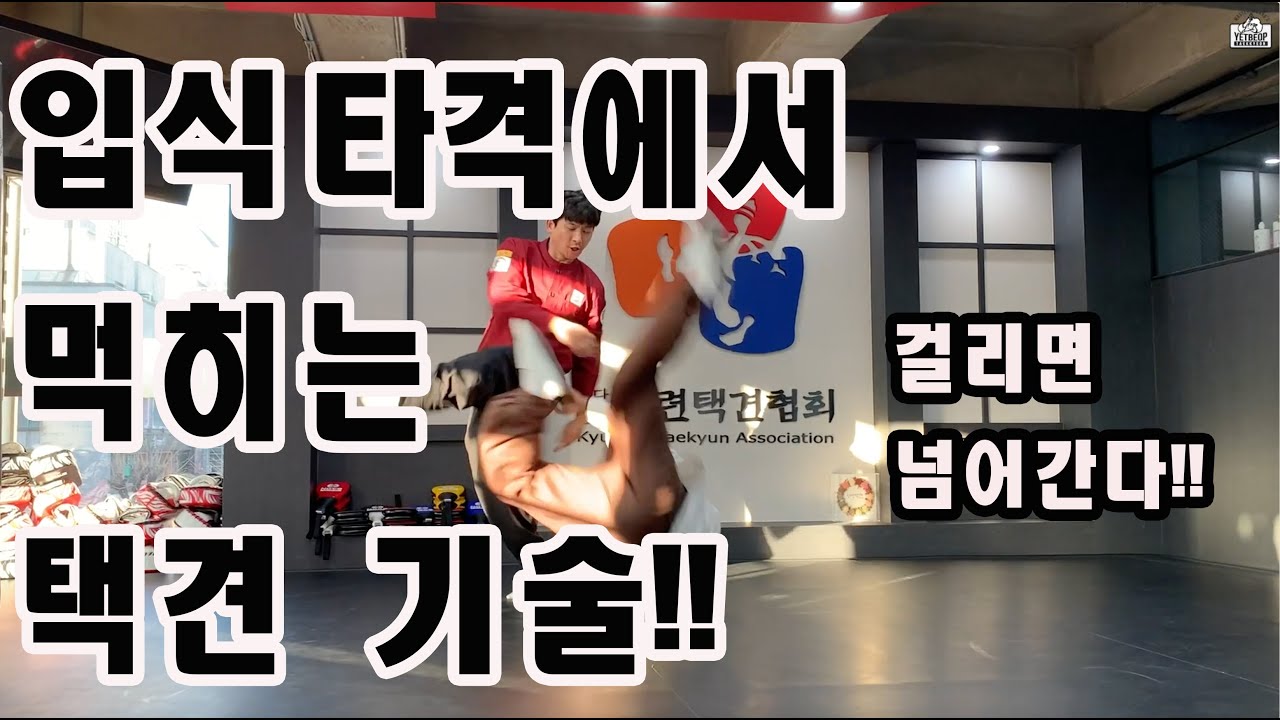 입식타격에서도 먹히는 택견기술! 걸리면 넘어간다 [Master Hwang TV]