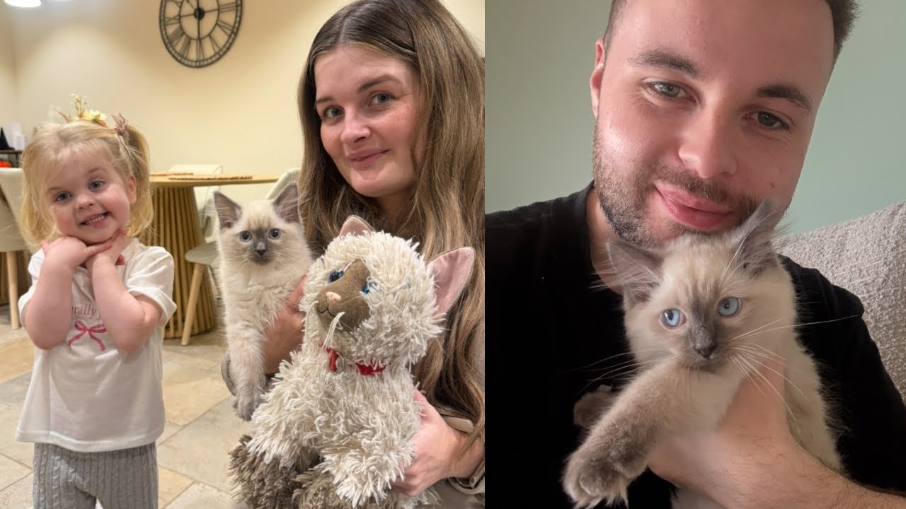 Знакомьтесь, наш новый котенок. Удивительная Арабелла с КОШКОЙ