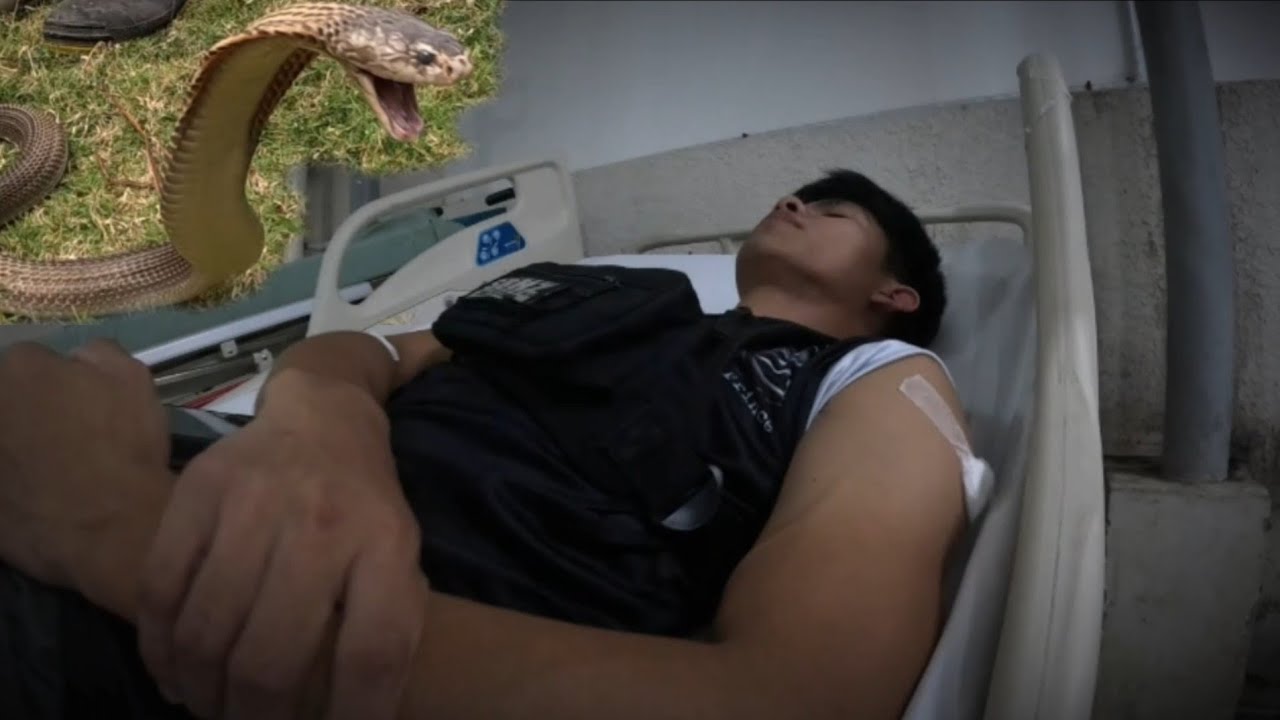 NATUKLAW NG COBRA SI COBRA PRINCE SINUGOD SA HOSPITAL