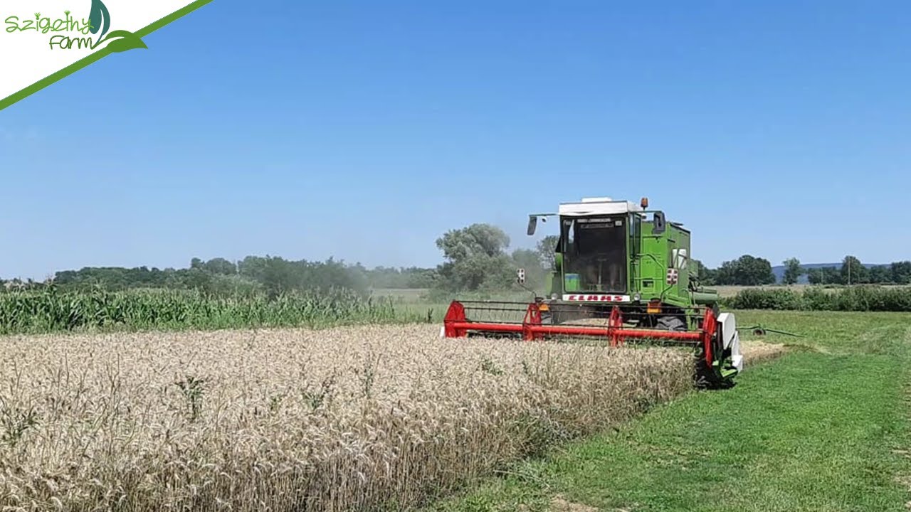Aratás egy Claas Dominator 105-al