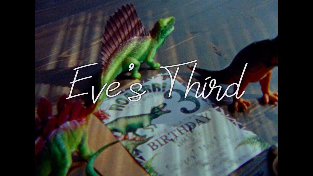 Super 8 | Canon 1014 xls | Everest's Third Birthday Celebration