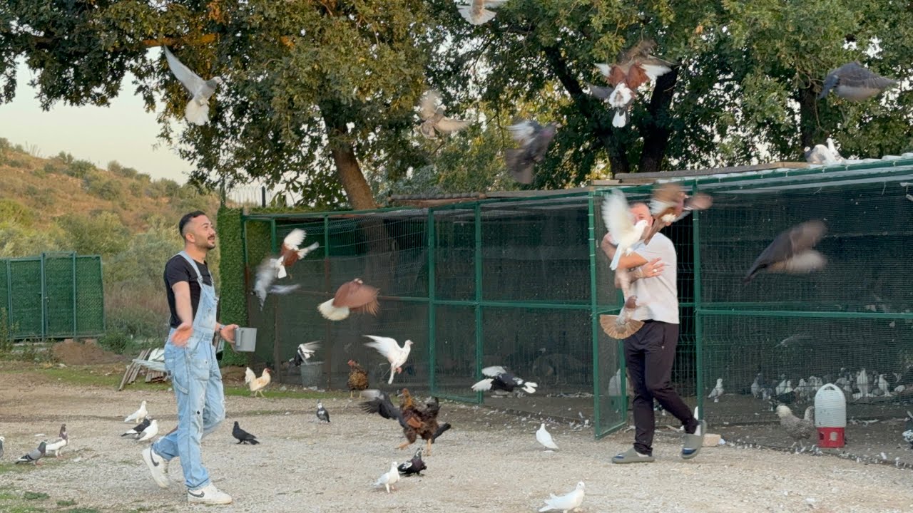 DELİ GÖRMÜŞSÜNÜZDÜR BU KADARI PES DEDİRTTİK