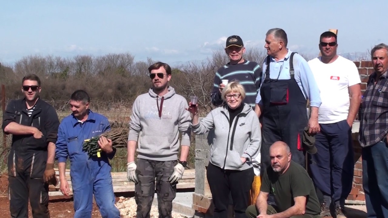 03.03.2017 - Sadnja vinograda - Cerodol, Zadar
