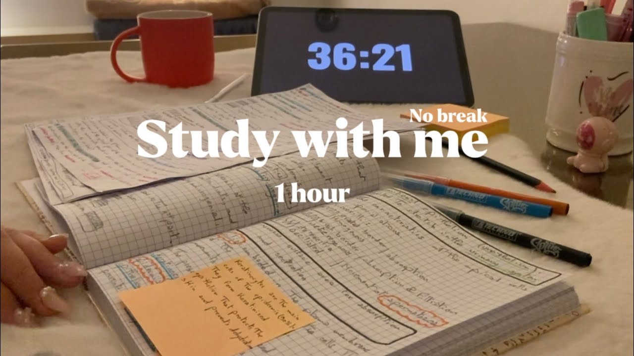 1 HOUR STUDY WITH ME || Background noise, no break📚