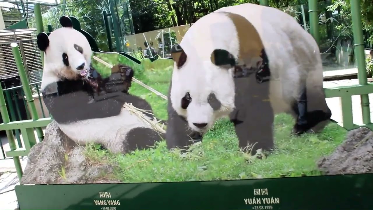 World famous Vienna ZOO -Display of all fantastic and rare animals- Good place for family and kids