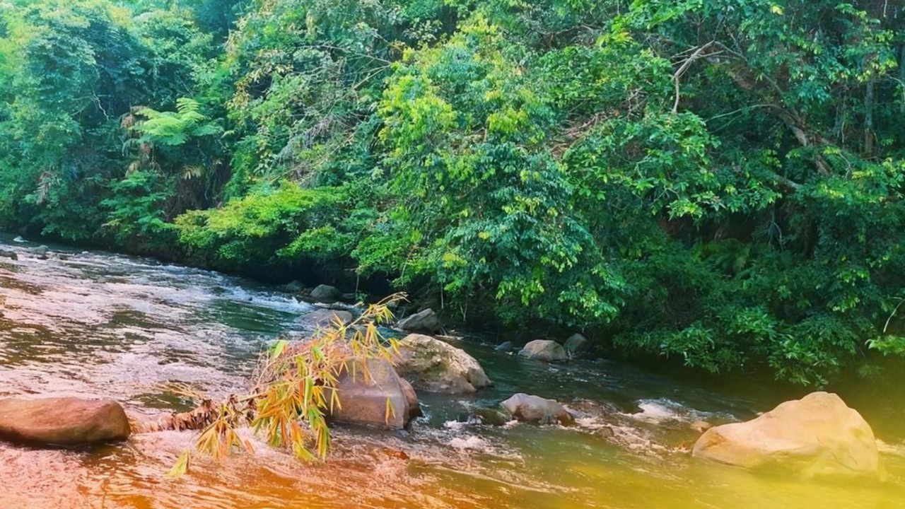 Natural River Ambience Sounds 🌿 Relaxing White Noise for Calm