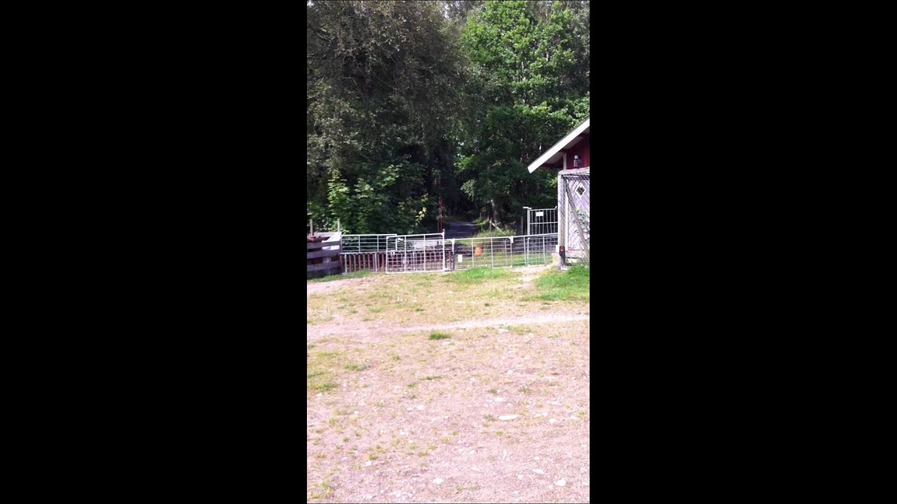 SNAPPHANERALLY 2012 (67)