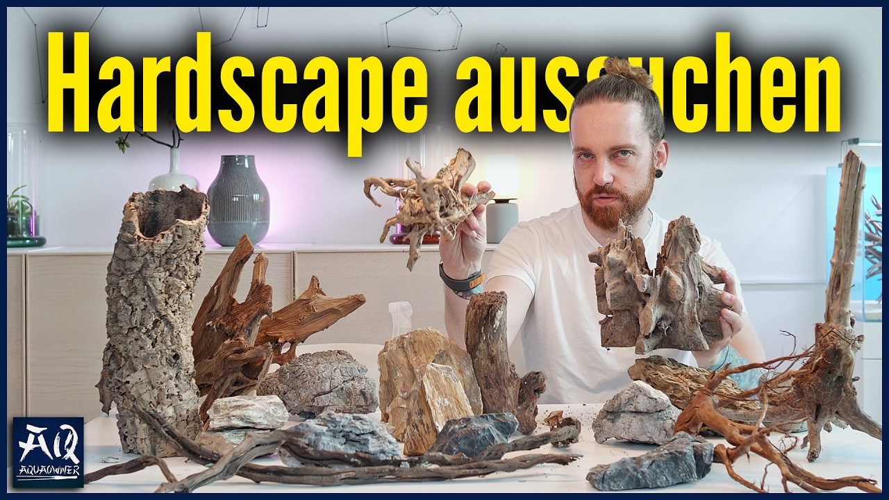 Hardscape für dein Aquarium aussuchen | AquaOwner