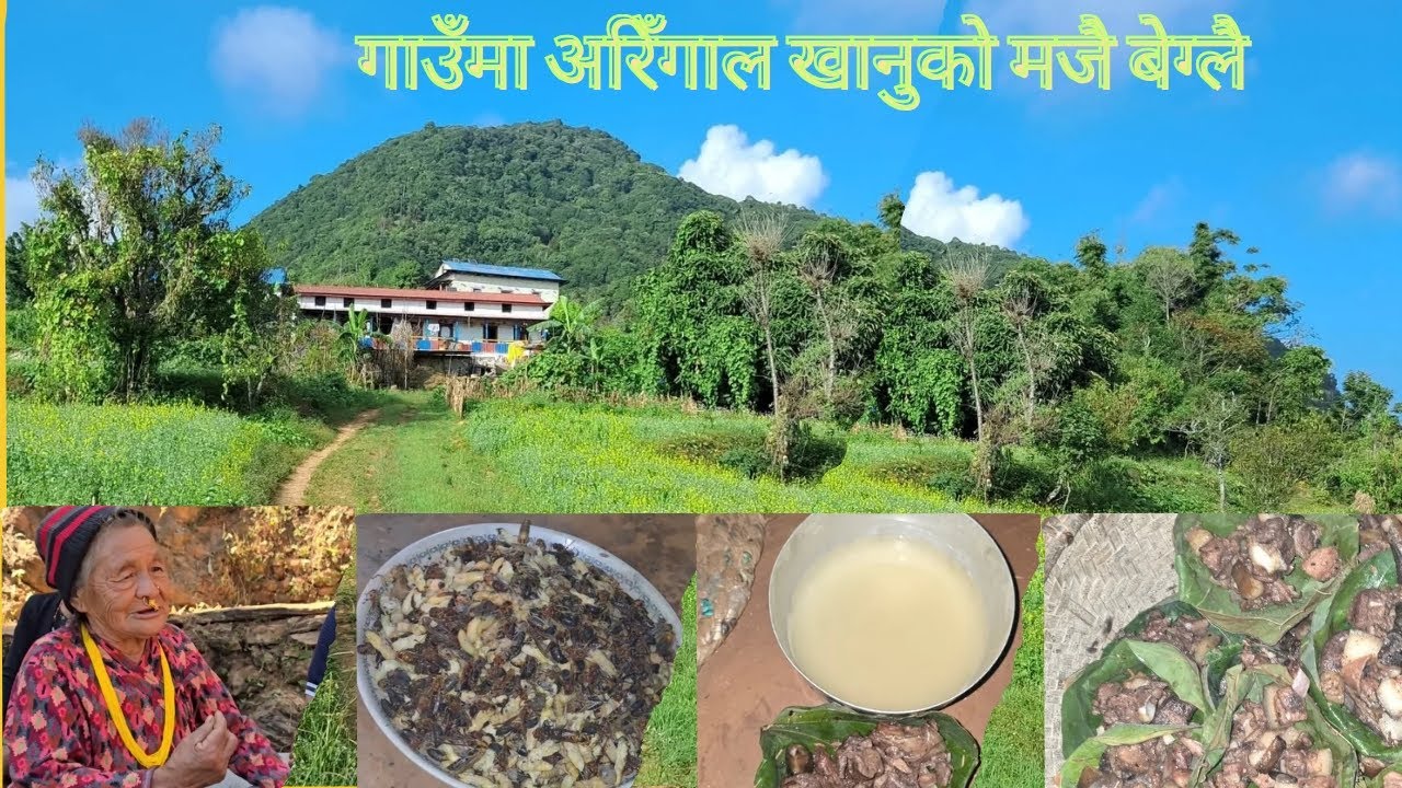 villager channel II अरिँगाल र चिरिप स्वादिलो II Aringal Ra Chirip SwadilooII