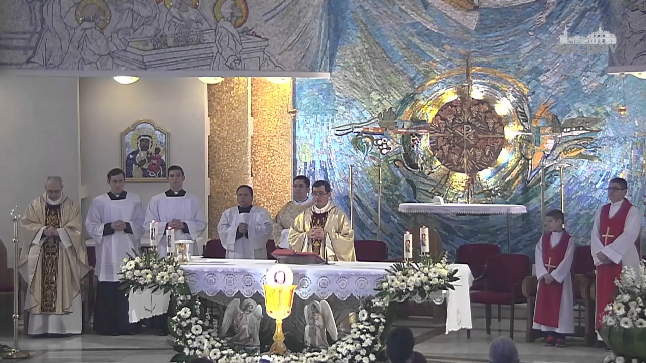 Iasi (catedrala): Liturghia din Preasfanta Treime (11 iunie 2017)