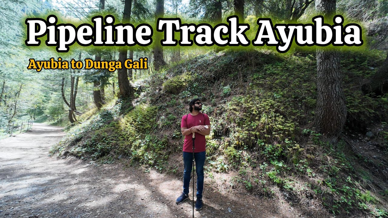 Pipeline Track Ayubia and Moto Tunnel | Ayubia National Park.