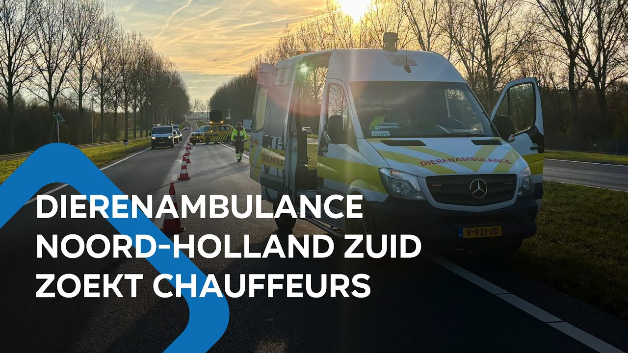 Dierenambulance Noord-Holland Zuid zoekt chauffeurs | Streeknieuws