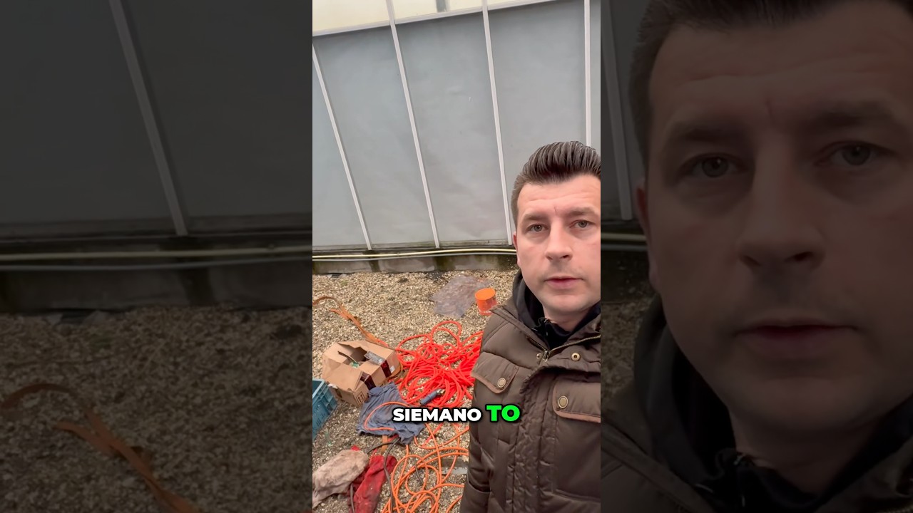 Tak wygląda dzień pracy Polaka w Holandii 🇳🇱